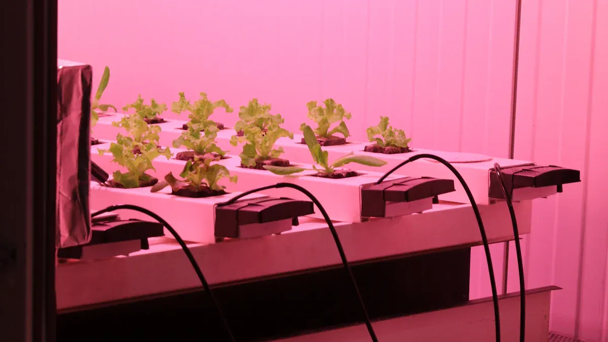 ऊर्ध्वाधर ग्रोथ लाइटहरूले साँच्चै तपाईंको बिरुवाहरू राम्रोसँग बढ्न मद्दत गर्दछ