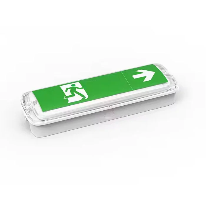 औद्योगिक आत्म-निहित एलईडी आपतकालीन बल्कहेड